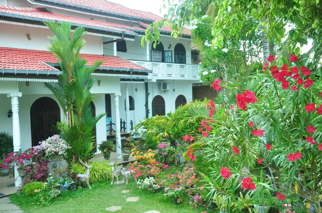 Angel Rest Hotel Mirissa Luaran gambar