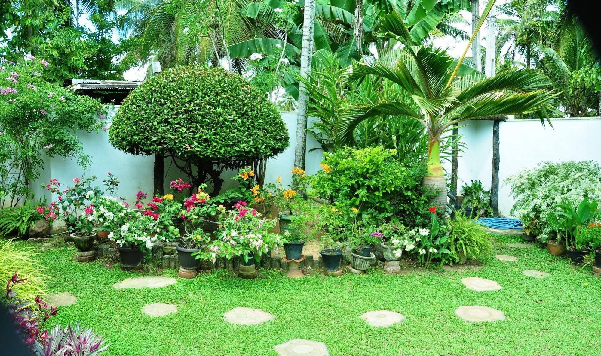 Angel Rest Hotel Mirissa Luaran gambar